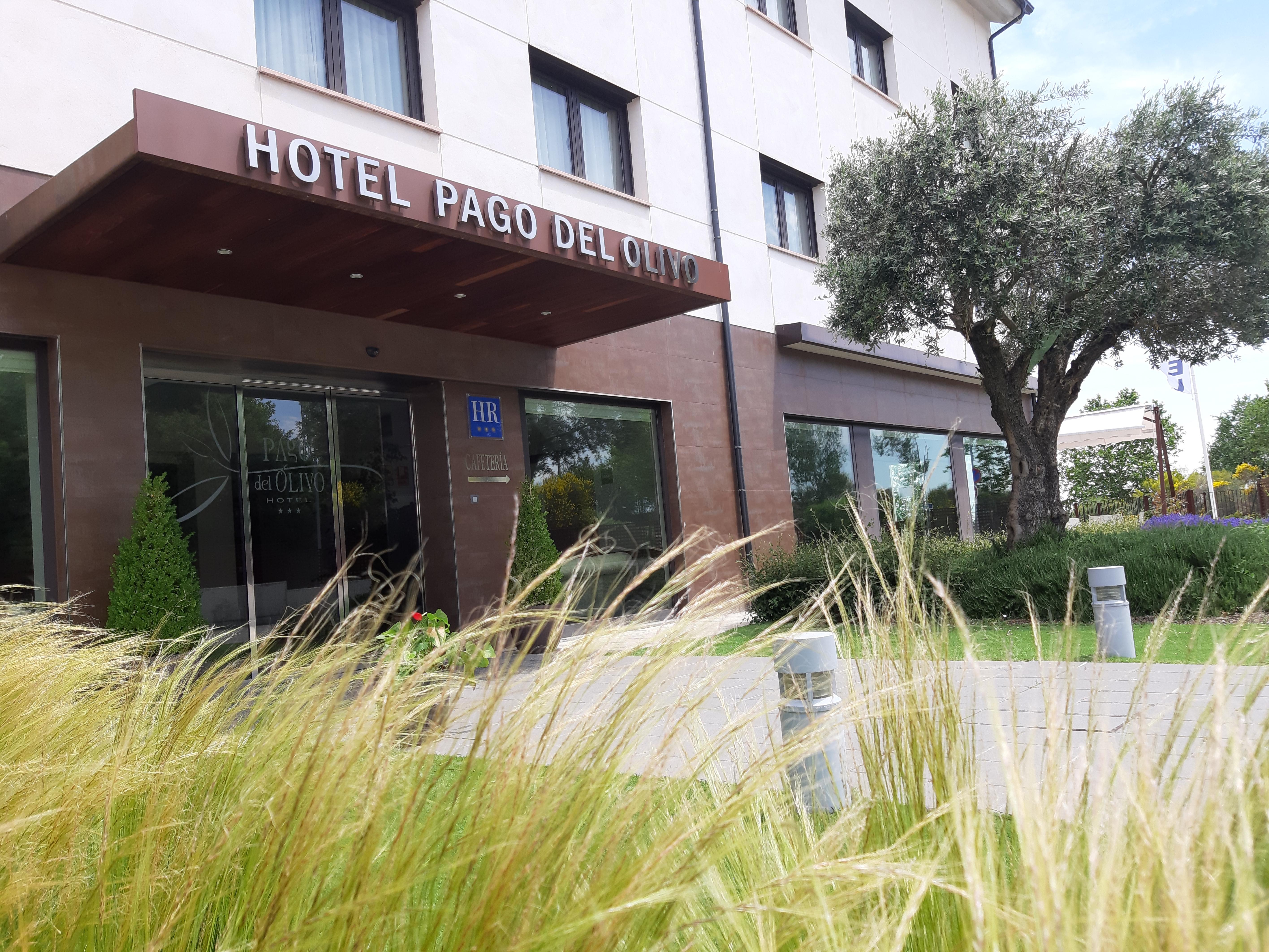 Hotel Pago Del Olivo Simancas Eksteriør billede